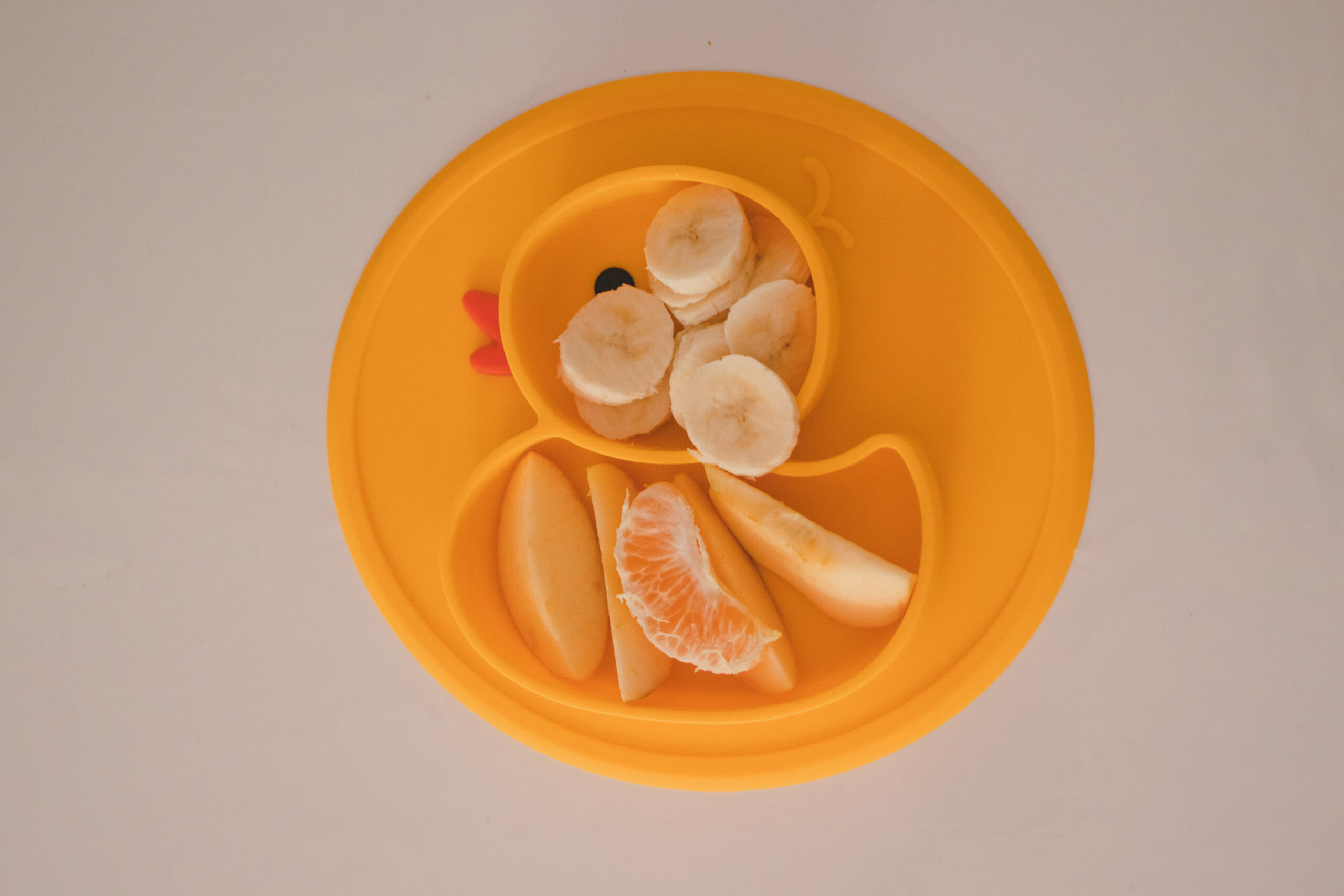 Como introduzir alimentos?